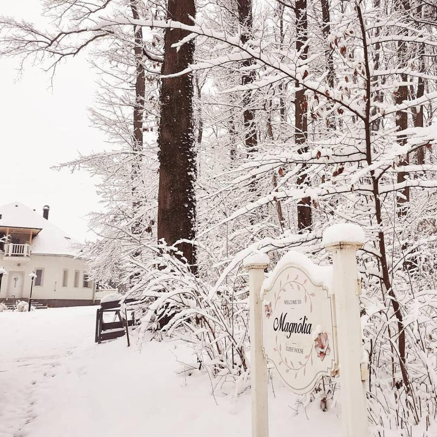 Magnolia Hotel Nagykanizsa Buitenkant foto